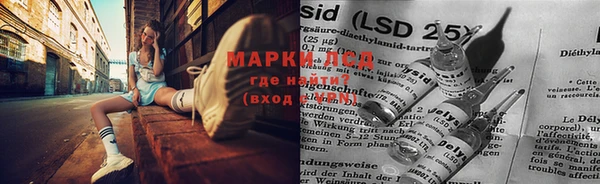 крисы Богданович